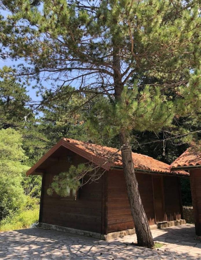 Villa The Old Man'S Chalet à Dukat Extérieur photo